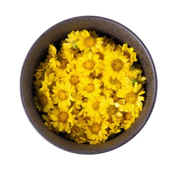 Yellow Chrysanthemum flowers isolated on white background.