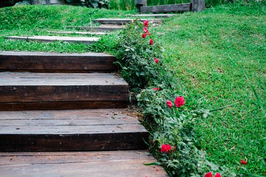 wooden stairs stairstep staircase in garden park