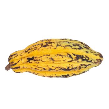 Cacao fruit, raw cacao beans, Cocoa pod isolated on white background.