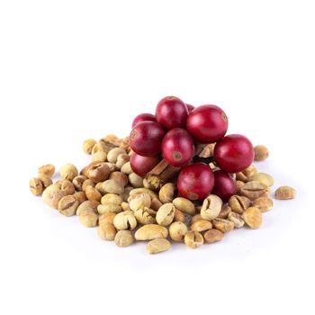 Fresh Coffee Red Berry branch and Coffee beans isolated on white background.