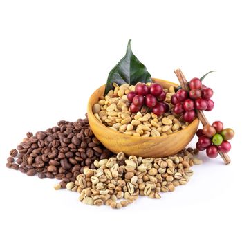 Fresh Coffee Red Berry branch ,Coffee beans and Roasted coffee beans isolated on white background.