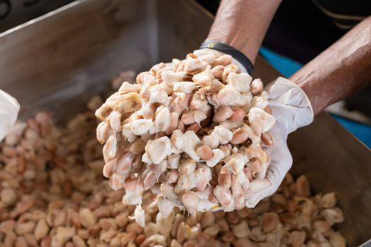 man holding a ripe cocoa fruit in hand. After removing the cocoa seeds from the cocoa pods.