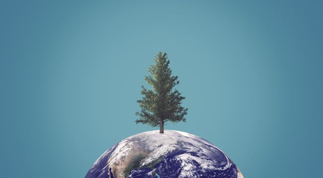 Ecology concept, green energy, trees close to extinction, Elements of this image furnished by NASA