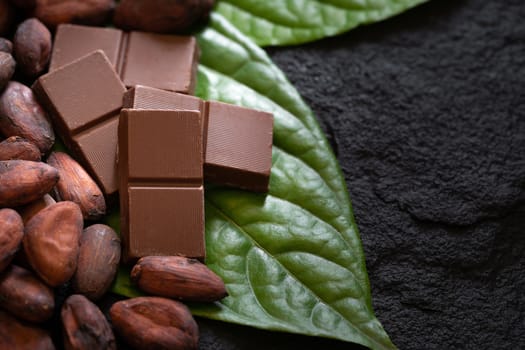 Chocolate bar and cocoa beans on a dark background.