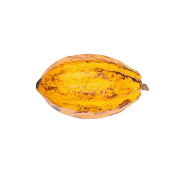 Cacao fruit, raw cacao beans, Cocoa pod isolated on white background.