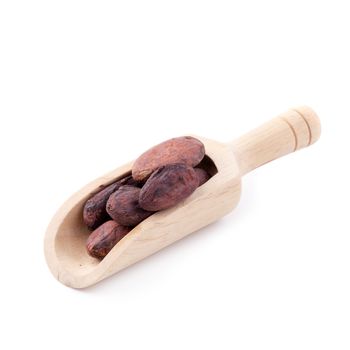 Cocoa fruit in a wooden spoon, raw cacao beans isolated on a white background.