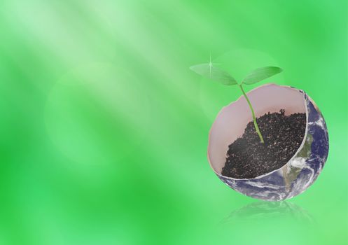 Young plant and the Earth on green blur background with ray of light, nature and ecology concept, elements of this image furnished by NASA