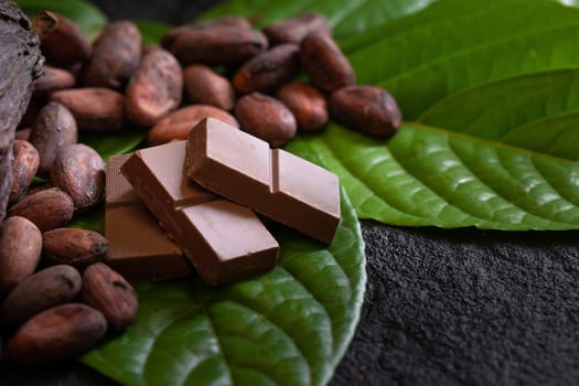 Chocolate bar and cocoa beans on a dark background.