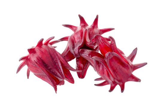 Roselle Hibiscus sabdariffa red fruit flower on white background.