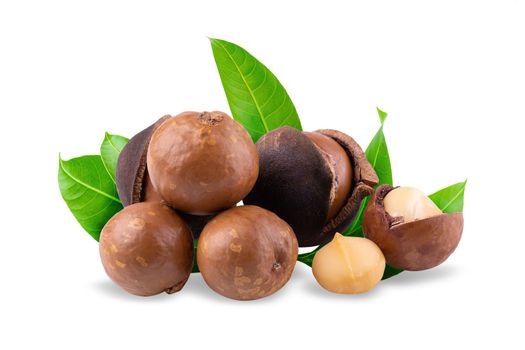 Macadamia nuts isolated on a white background.