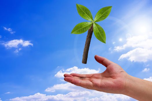 Ecology concept, save energy, hand and wind turbine leaf on blue sky background