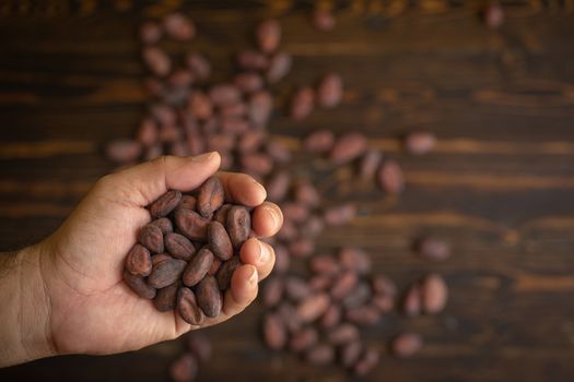 Cocoa beans in hand on old natural wooden background.