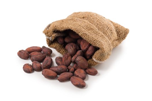 Cocoa fruit, raw cacao beans isolated on a white background.