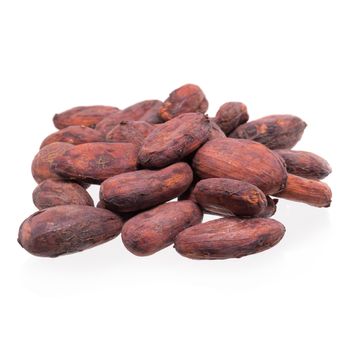 Cocoa beans isolated on a white background.