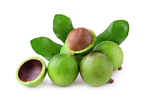Macadamia nuts with Green Macadamia leaves isolated on white background.