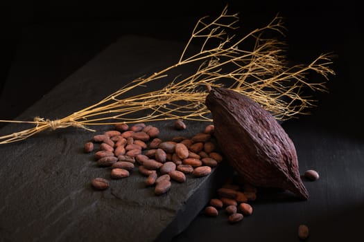 Cocoa beans and cocoa pod on a dark background.