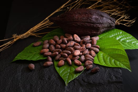 Cocoa beans and cocoa pod on a dark background.