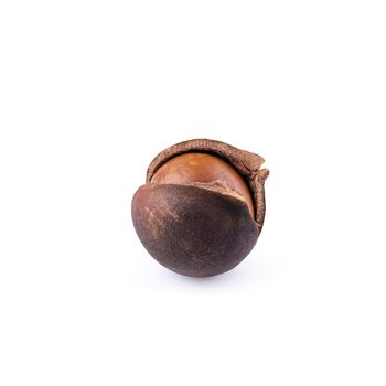 Macadamia nuts isolated on a white background.