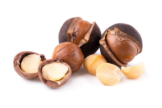 Macadamia nuts isolated on a white background.