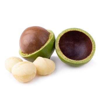 Macadamia nuts isolated on a white background.