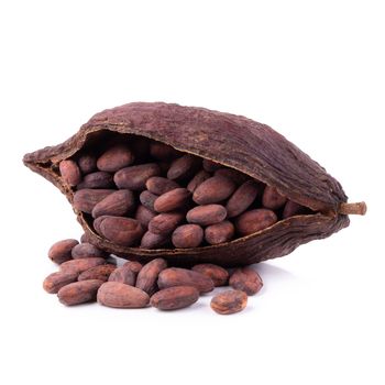 Cocoa pod ,beans and isolated on white background.