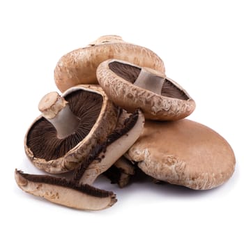 Portobello mushrooms and slice isolated on a white background.