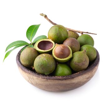 Macadamia nuts isolated on a white background.