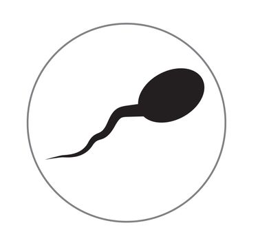 sperm icon on white background. flat style. sperm icon for your web site design, logo, app, UI. Spermatozoa symbol. Spermatozoa sign.