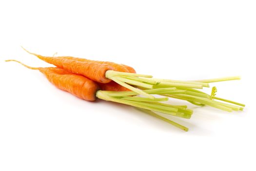 Fresh baby carrots isolated on a white background.