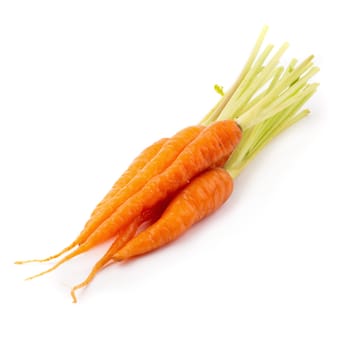 Fresh baby carrots isolated on a white background.