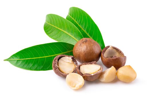 Macadamia nuts isolated on a white background.