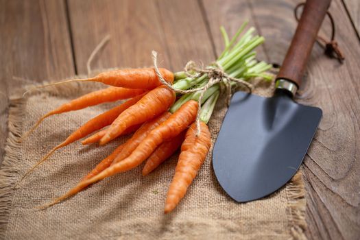 Fresh baby carrots on wooden cutting board and wooden background.