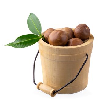 Macadamia nuts isolated on a white background.