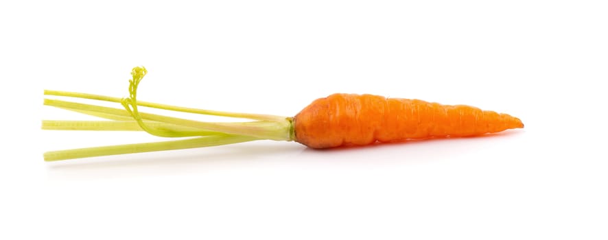 Fresh baby carrots isolated on a white background.