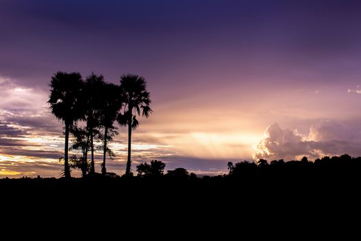 Colorful dramatic sky with cloud at sunset.Sky with sun background.