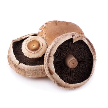 Portobello mushrooms isolated on a white background.