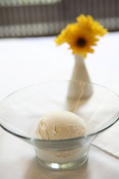 coconut Ice cream 