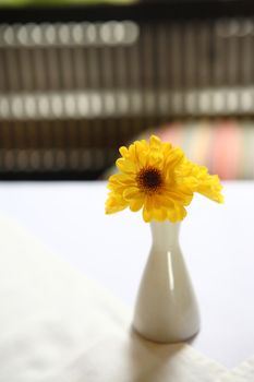 Yellow flower in Jar