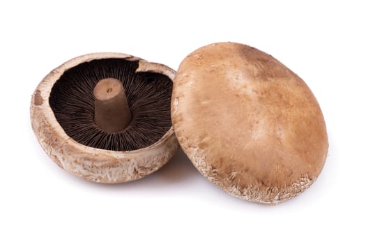 Portobello mushrooms isolated on a white background.