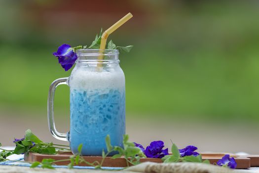 Iced Blue pea milk or Iced Butterfly Pea Latte with milk Healthy drinks.