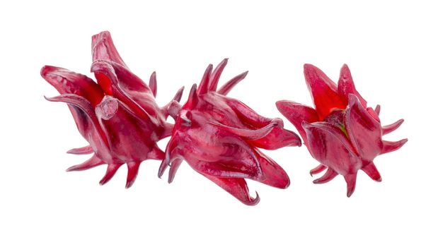 Roselle Hibiscus sabdariffa red fruit flower on white background.