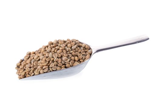 Green Arabica coffee beans in aluminum spoon on white background.