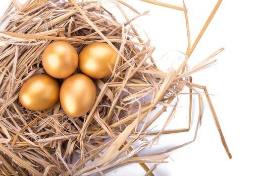 Golden egg inside a nest isolated on white background.