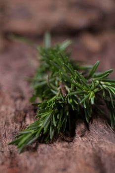 rosemary Herbs and Medicinal herbs. Organic healing herbs. fresh rosemary bunch rosemary on wooden background.