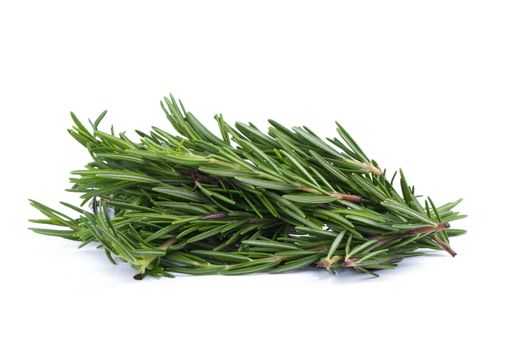 rosemary Herbs and Medicinal herbs. Organic healing herbs. fresh rosemary bunch rosemary isolated on white background