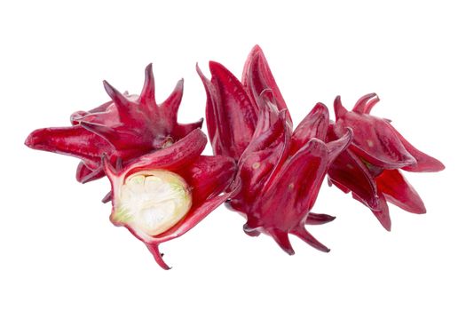 Roselle Hibiscus sabdariffa red fruit flower on white background.