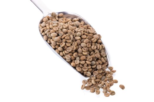 Green Arabica coffee beans in aluminum spoon on white background.
