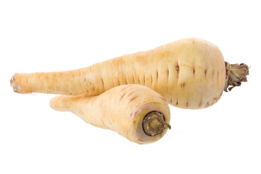 Fresh parsnip roots on a white background.