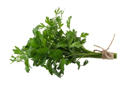 parsley fresh herb isolated on a white background.