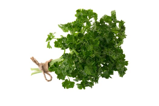 parsley fresh herb isolated on a white background.